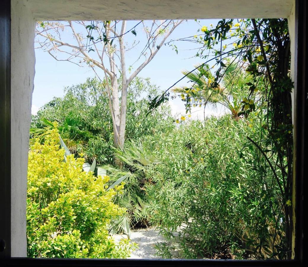 Cortijo Paraiso Charcon Higuera Exterior photo