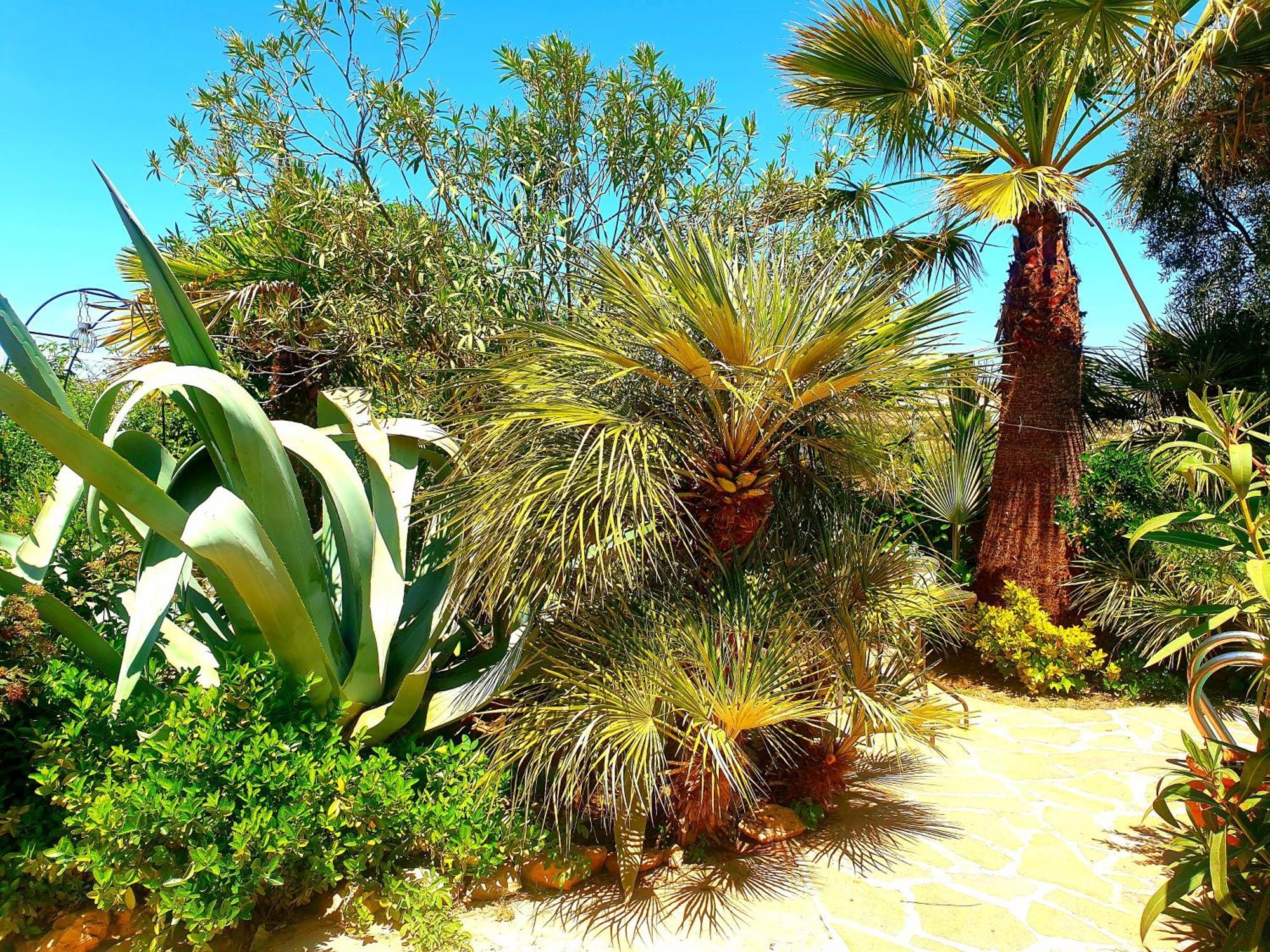 Cortijo Paraiso Charcon Higuera Room photo